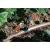 6 mm Self-Piercing Barb 2 gph Red HE Series Point Source Pressure Compensating 25/Bag Drip Emitter | HTXHE2025