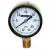 0 to 30 psi 2" Dial 1/4" NPT Lead-Free Lower Pressure Gauge | MRLPG30