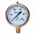 0 to 100 psi 2-1/2" Dial 1/4" NPT Lead-Free Liquid Filled Lower Pressure Gauge | MRLPGL100