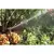 42 to 51' Full or Part Circle 3.9 to 7.8 gpm with Precision Jet 35A Series For ADJN-3 Nozzle with Integral Break-Up Pin Impact Sprinkler | RBA35APJADJTNT