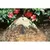 Rain Bird Adjustable Flood Bubbler 1 - 2.3 Gpm | A16001