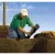 1/2" x 1/4" MNPT Spiral Barb x Barb 0.5 gpm RWS-M Series Root Mini Watering System | RBLRWSMB1402