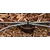 Hunter 0-1/2 gph Multi-Port Emitter | MPE05