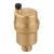 1/4" MNPT Brass Automatic Air Vent | CAF502620A