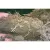 40 lb Granular Light Brown Soil Amendment
