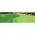 2.5 Gallon Liquid Natural Green 8000 to 12000 sq-ft Coverage Lawn Paint | GREENLAWNGER025G