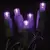 2.4 W per Set 26' Purple Commercial Grade LED Light Set | HBLLED5MM50PL