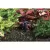 Hunter MSBN Multi-Stream Bubbler Nozzle Full Circle | MSBN10F
