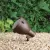 175 W E26 Medium Incandescent Textured Architectural Bronze Aluminum Large Accent Light | KIC15251AZT
