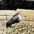 35 W Bi-Pin MR-16 LED Textured Black Aluminum Accent Light | KIC15309BKT