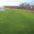 78" x 90' Green F4 Netless | PRFCFF7890GNTL