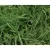 50 lb Bag Common Hulled Coated Bermuda Grass Seed 2 to 3 lb/10000 sq-ft Coverage