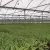 3.24 - 6.48 gpm Green with CVSM Pad Super Spray | SENSS120CVSM