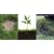 2.5 gal Liquid Black Flowable Soil Amendment