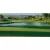 1 qt Liquid Green Pond Dye | SSCTURFMARKGQT