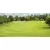 1 qt Liquid Blue Pond Dye | SSCTURFMARKBQT