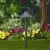 2.5 W Ceramic T3 LED Black Die-Cast Copper-Free Aluminum Landscape Series 6507 Low Voltage Path Light | VISPR6507B2WT3