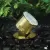 5 W LED Natural Brass Solid Brass Landscape 2115 Series Underwater Light | VISUW2115BSNLB5