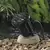 20 W Ceramic MR-16 Halogen Standard Black Injection Molded Glass-Reinforced Ryton Landscape 5217 Series with Grate Underwater Light | VISUW5217B