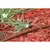 Rain Bird XFD Dripline 500' 0.92 gph 12" Emitter Spacing 16 mm Brown | X44032