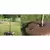 20 gal Polyethylene Tree For 6" Dia Maximum Size Tree Watering Ring | KNG44010