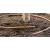 Hunter MLD Drip Irrigation Line 1/4" x 100' 0.5 gph 6" Space Black | MLD0506100BL