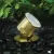 5 W Ceramic Integrated LED Natural Brass Landscape Series 2115 Model Under Water Light | VISUW2115BSNW5ND