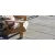 Belgard Plaza Stepper Paver, 24" x 24", Linen | 36051351