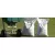 50 lb Bag 6-4-0 N-P-K Professional Fertilizer | BWWHE620456