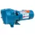 1 hp 115/230 V JS Plus Shallow Well Jet Pump | GLDJ10S