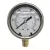 American Granby Liquid Filled Pressure Gauge, MIP Stainless Steel 1/4" | AMGILPG30254LNL
