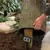 Poly Resin Faux Oak For Outdoor Electrical Outlets Stump Cover | AQS78259