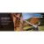 58 V Handheld String Battery Trimmer | ECHCST58V2AHCV