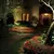 2.9 W GU5.3 MR-16 >80 250 Lumens 3000K LED 38 Degrees Lamp | FETBPLVBAB830CA