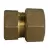 3/4" Type T CTS Compression x FNPT Lead-Free Brass Straight Adapter | MCD74754T34