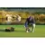 360 Degrees For Green Area Hole Painter | PAR910
