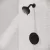 4-25/32" x 2-9/16" Brass Matte Black 1-Handle Shower Trim | PPFLG897WRB