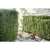 1.5 cu-in 1.2 bhp 145 Degrees Head Hedge Trimmer | STIHL94K145