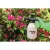 0.4 Gallon 29 psi Black/White Plastic Manual Handheld Sprayer | STISG11
