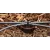 1/2" FPT Black 1 gph Multi-Port Emitter | HTRMPE10