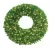 HBL LED 3D Olympia Pine Wreath 48", Warm White | OLWR-48-WW