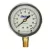 Liquid Filled Pressure Gauge | 514000