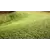 HDS Original Mulch