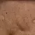 Masonry Sand - Scoop | MASONSAND