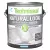 Techniseal NS Natural Look All in One Sealer & Stabilizer Water Based 1 Gal | 60301881