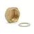 REHAU Manifold End Cap with Gasket 1" | 250213