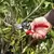 Felco Bypass Young Branch Hand Pruner | FELCO 8
