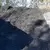 Black Mulch Bulk Designer | BLACKBULK