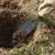 AMES HAND TROWEL TEMPERED