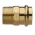 Adapter Press x Male Lead Free Brass 1" | FNW5V0076G